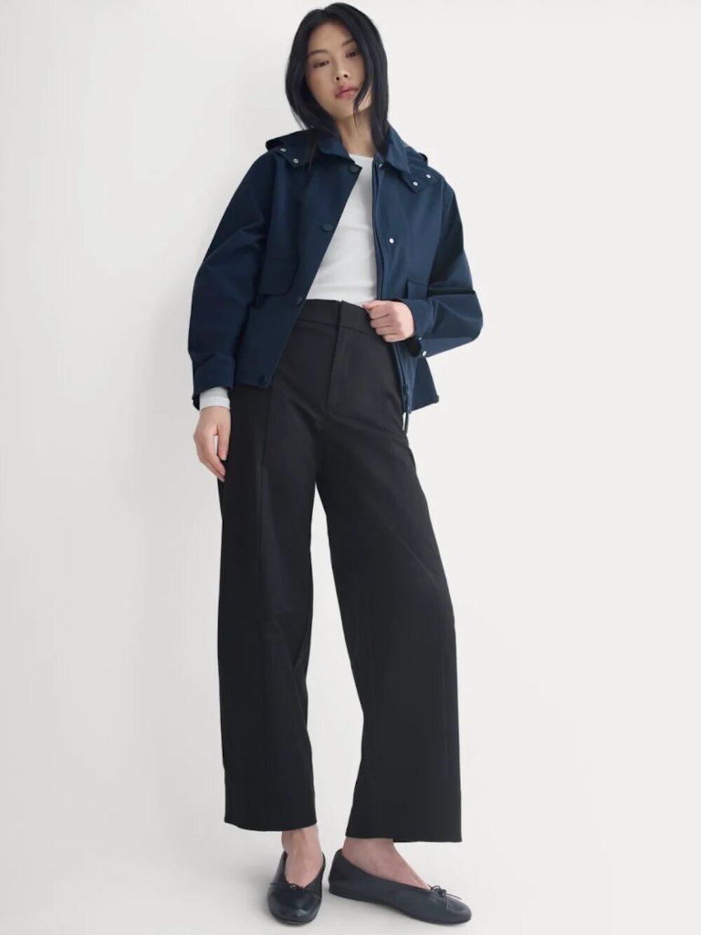 Everlane Seamed Balloon Pant
